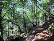 Easy hiking on the Matt Davis Trail