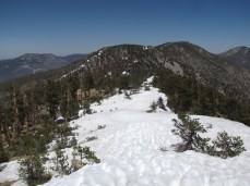 Snow on San Bernardino Peak