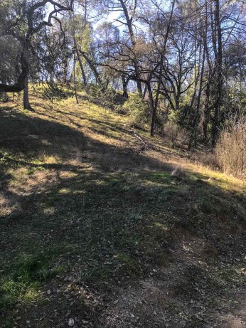 Short side trail up Jackass Hill