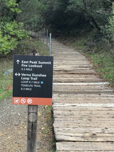 Plank Trail to the summit of Mt Tam
