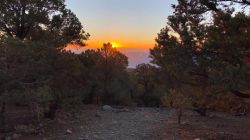 Sunrise from Mahogany Flats campground