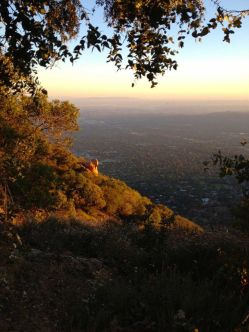 Pretty beautiful views of LA.