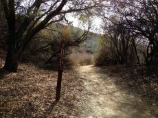 Trail Back to Trippet Ranch