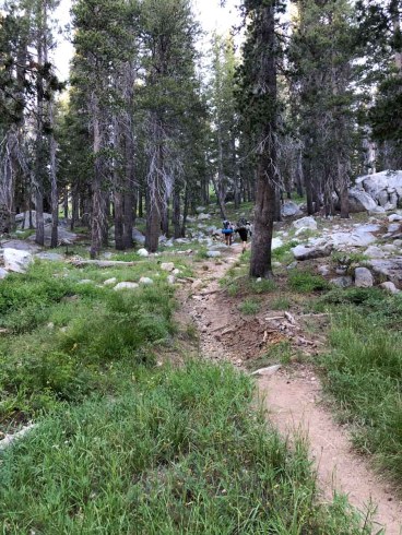Trail up to Merced Pass