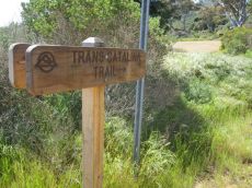 The official start of the Trans-Catalina Trail