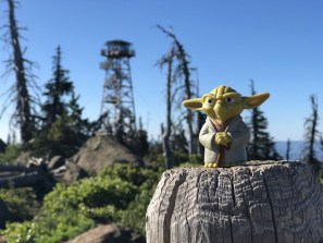 Yoda at the summit of Black Butte