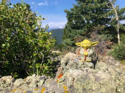 Yoda approves of Bergen Peak