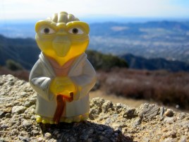 Yoda on Verdugo Peak
