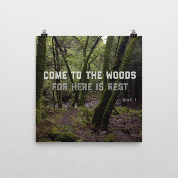 Poster - Come to the woods