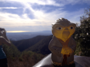Yoda on Manzanita Ridge